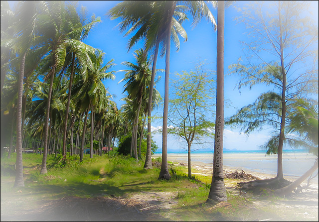 Koh Samui Island - my trip to Thailand